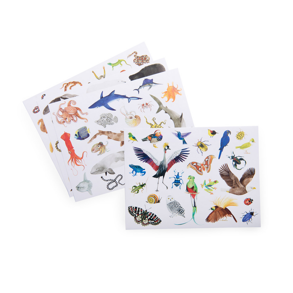 Moulin Roty - Autour Du Monde Stickers 78pc