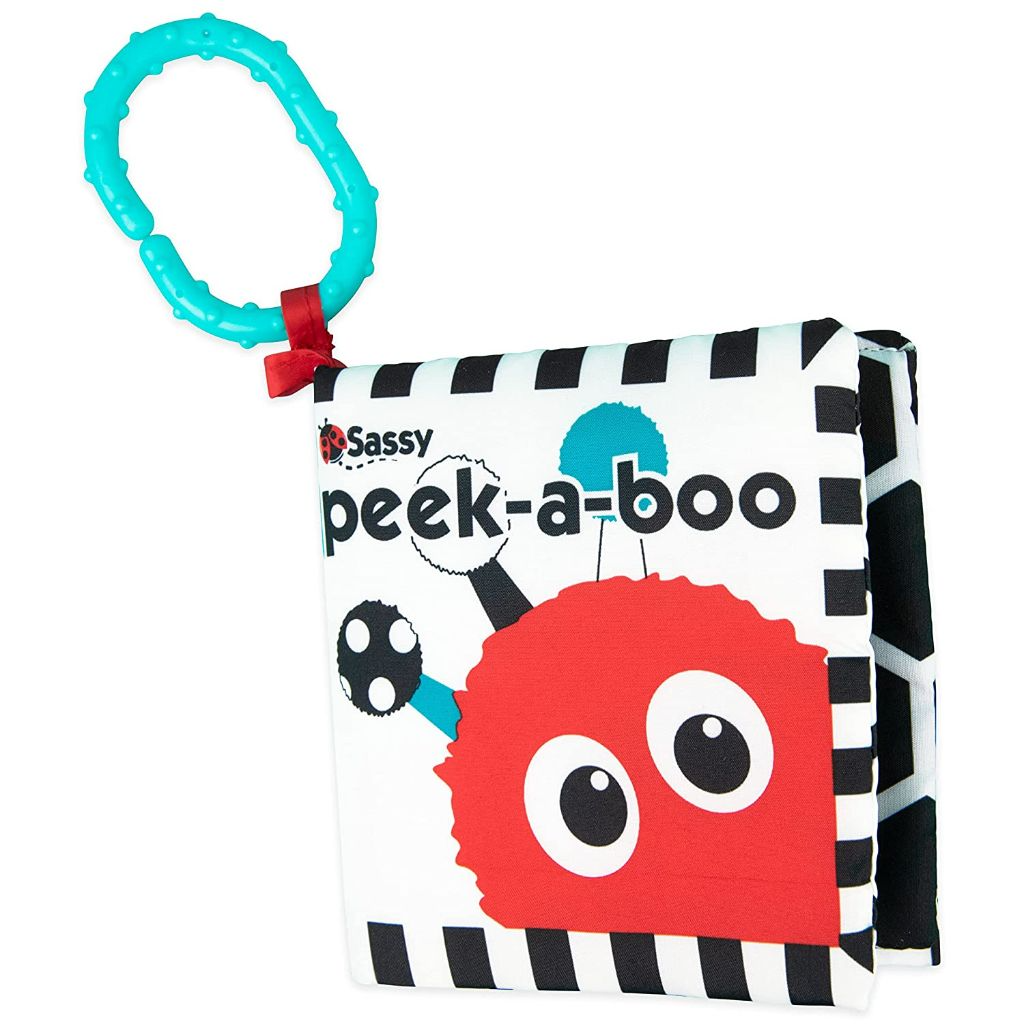 Peek-a-Boo Book