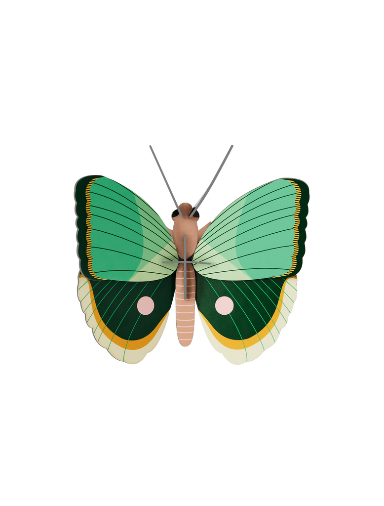 Studio Roof - Fern Striped Butterfly