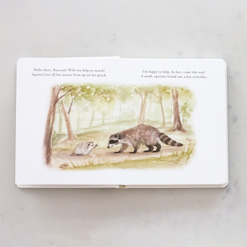 Our Little Adventures Board Book Set - Tabitha Paige