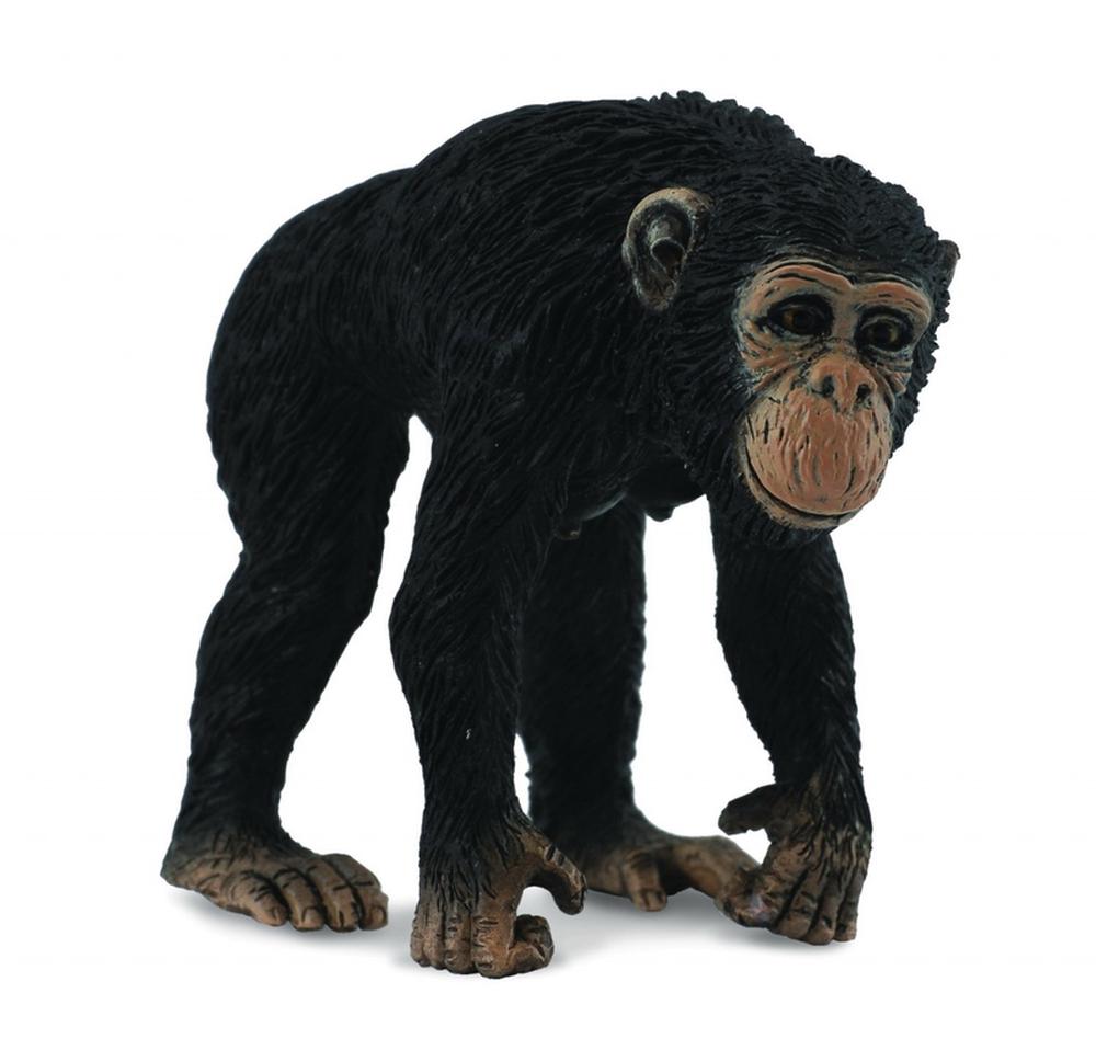 Collecta - Chimpanzee Female