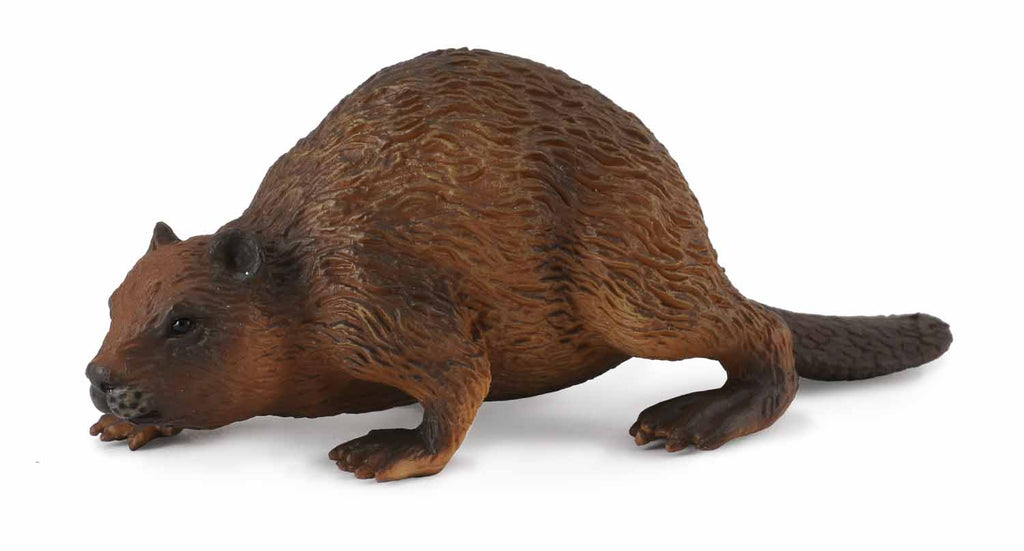 COLLECTA BEAVER